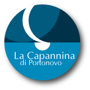 Login Logo